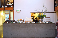 OPEN HOUSE AT 415 WESTLAKE